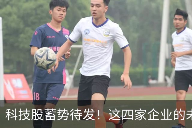 科技股蓄势待发！这四家企业的未来看点是什么？